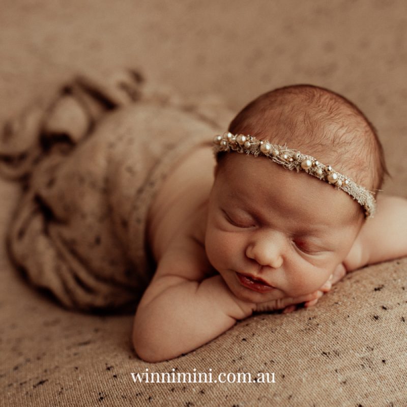 newborn family baby family photos photography pindara bunting obstetrician mater mothers